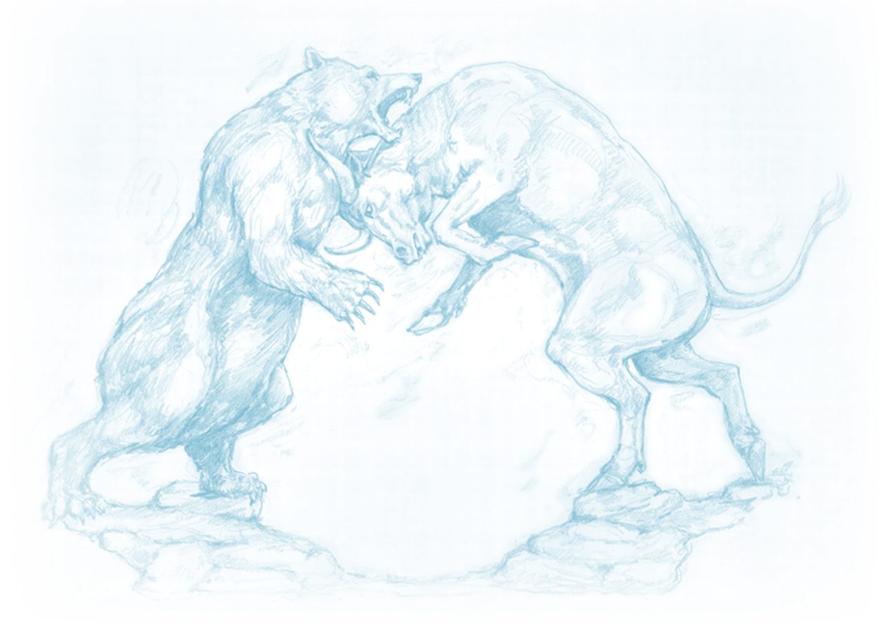 bull and bear